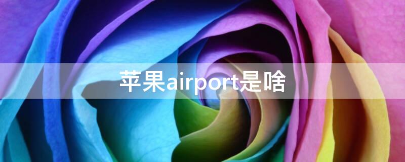 苹果airport是啥