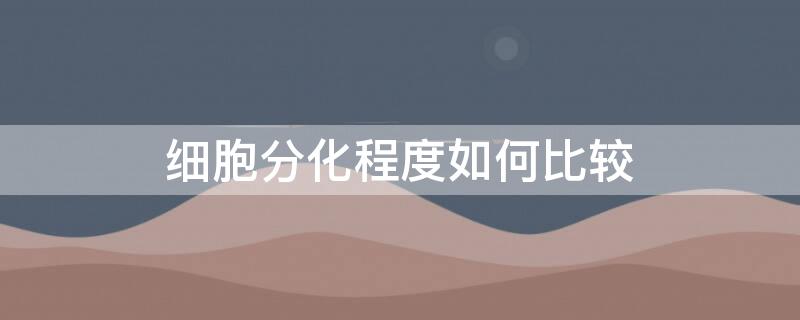 细胞分化程度如何比较